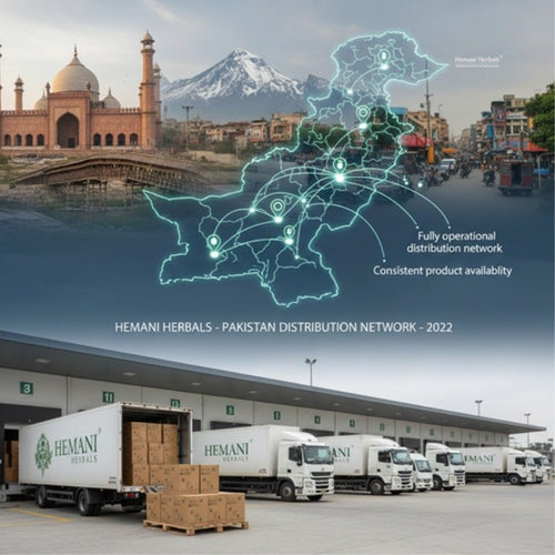 2022 - National Distribution Network