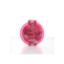 Picture of Loofa Soap - Blossom Wish
