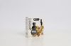 Argan Essential Oil 10ml | Hemani Herbals 