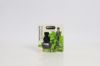 Mint Essential Oil 10ml | Hemani Herbals 