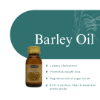 Barley Herbal Oil 30ml | Hemani Herbals 